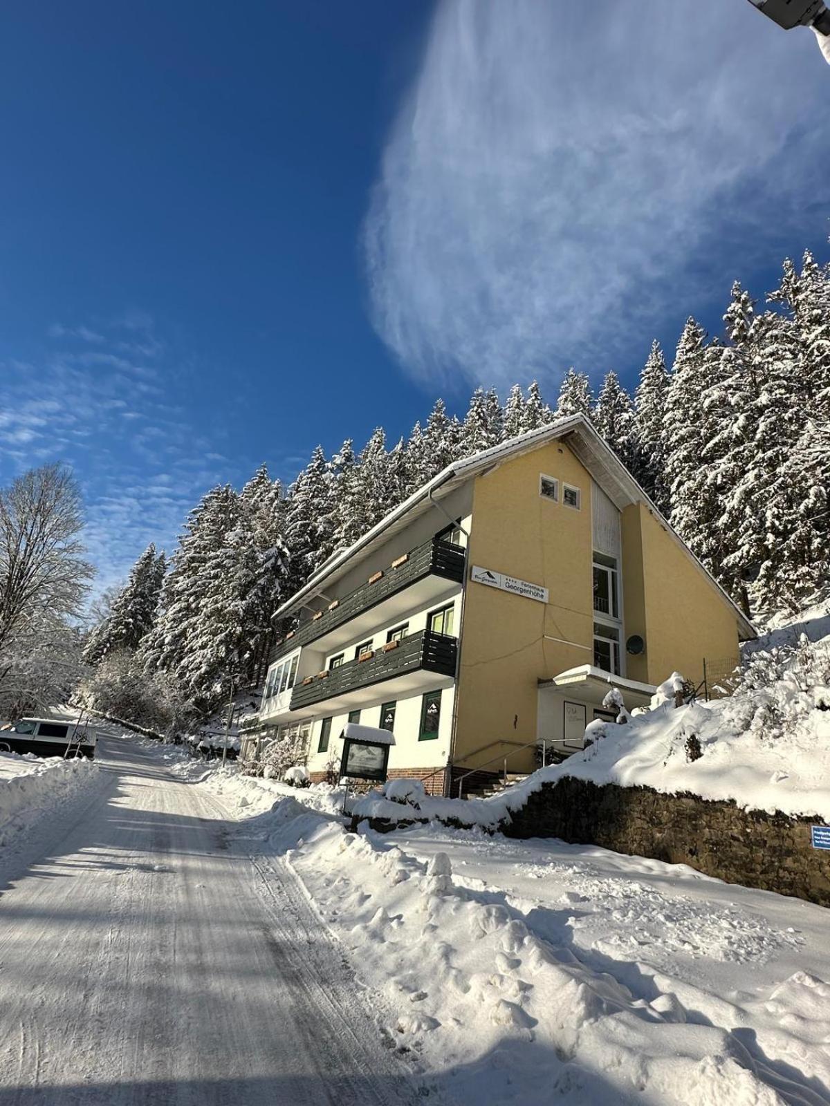 Haus Georgenhoehe Wildemann Ngoại thất bức ảnh